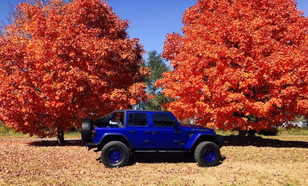 jeep, wrangler, blue-color